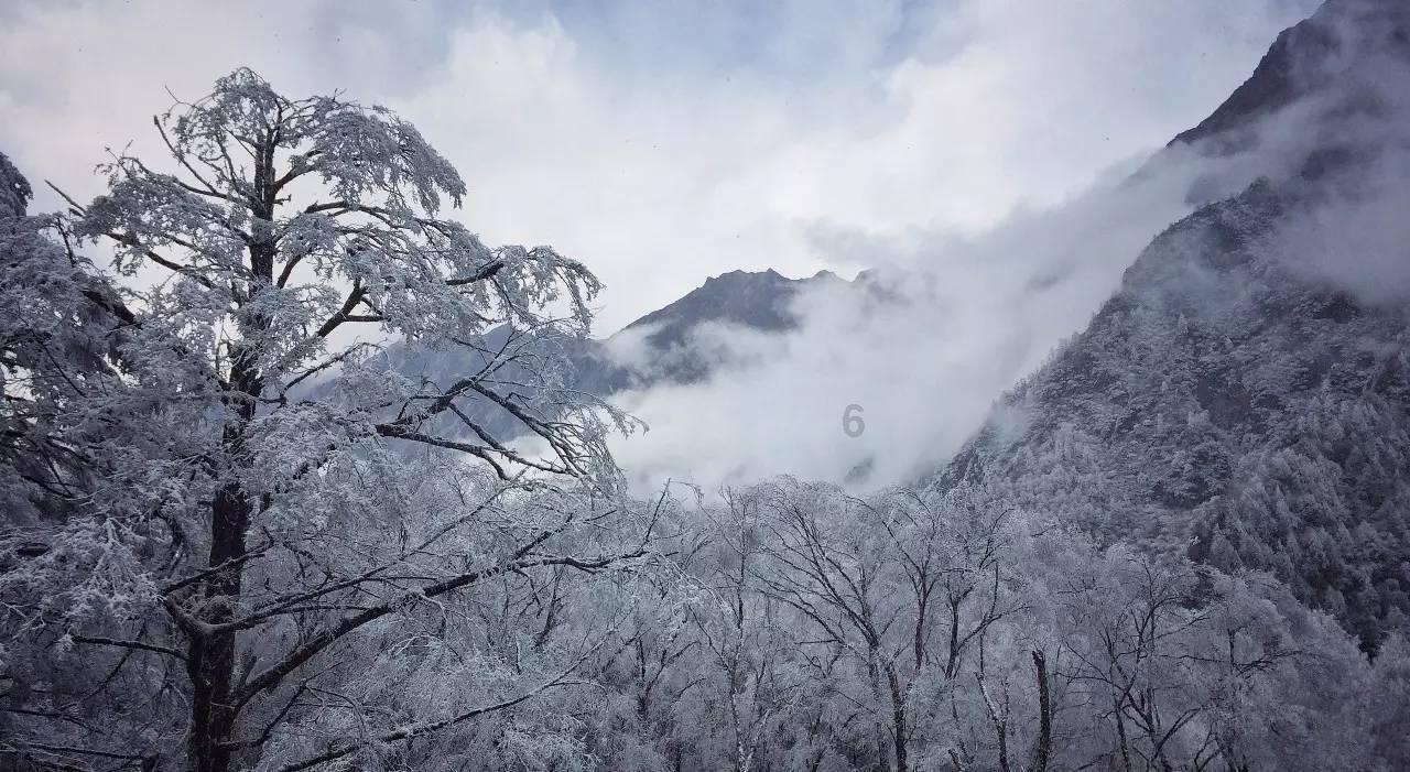 极限摩托车大赛